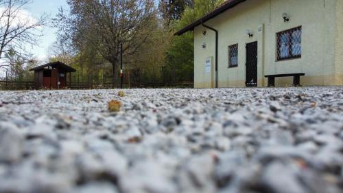 RemoteMediaFile 6553628 0 2022 04 20 14 49 18