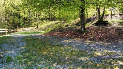 RemoteMediaFile 6553652 0 2022 04 20 15 33 58