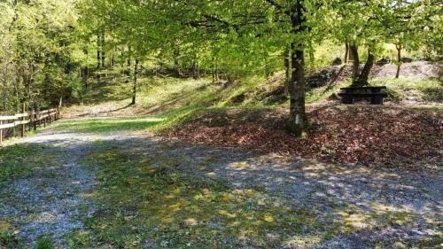 RemoteMediaFile 6553653 0 2022 04 20 15 34 06