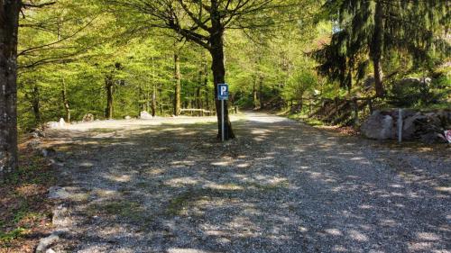 RemoteMediaFile 6553657 0 2022 04 20 15 35 18