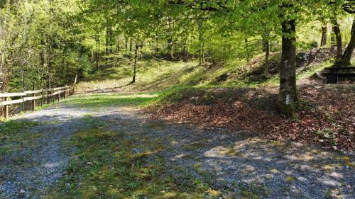 RemoteMediaFile 6553666 0 2022 04 20 15 39 00