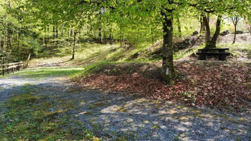 RemoteMediaFile 6553667 0 2022 04 20 15 39 08